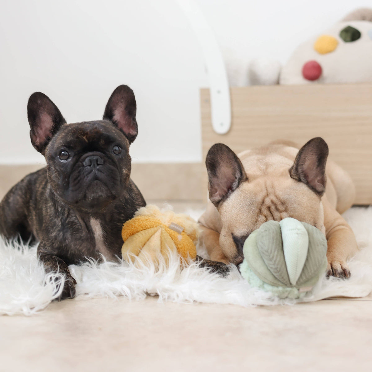 Dog Enrichment Toy TOTO Small Green – Lambwolf Collective