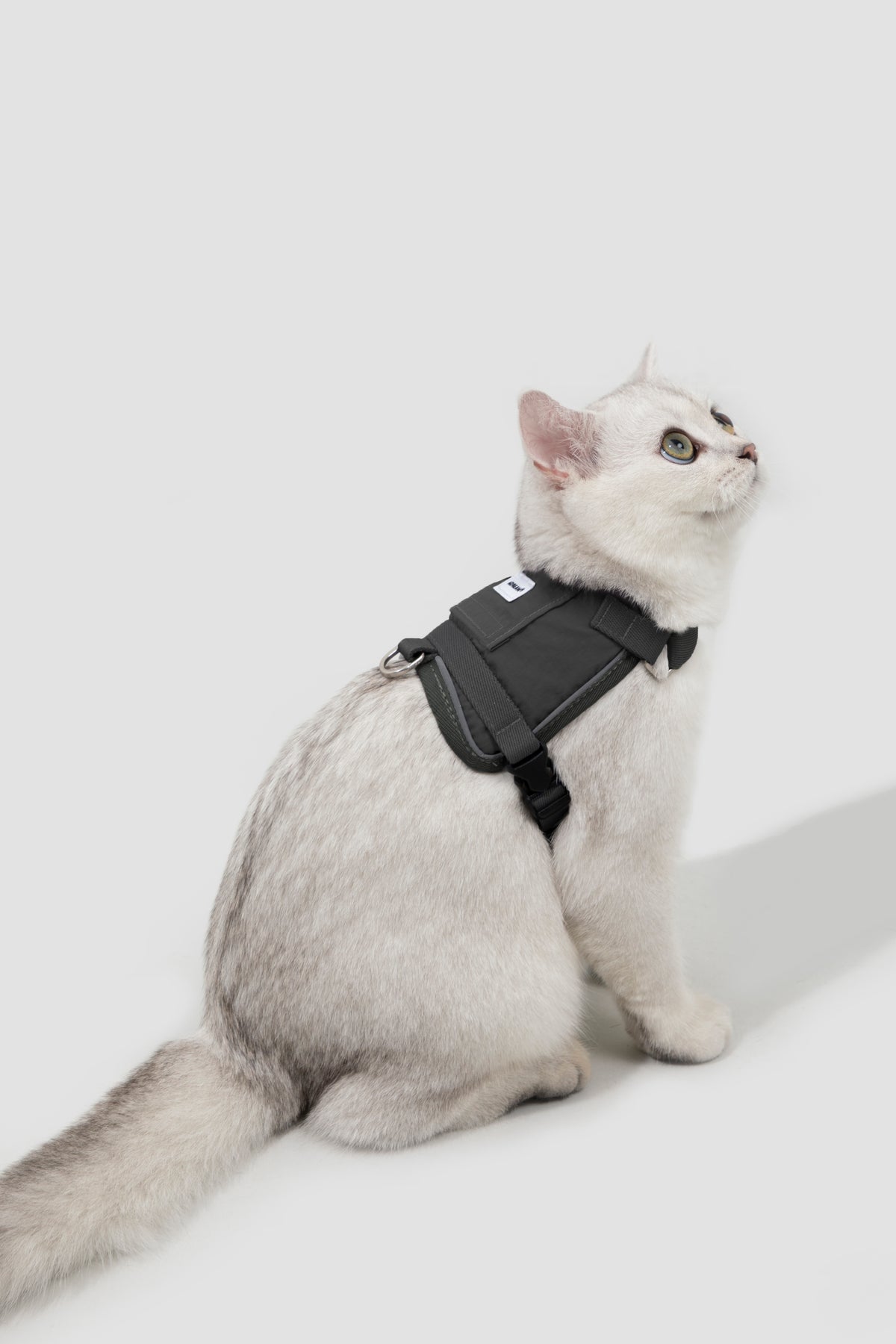 Cat Harness + Leash Set
