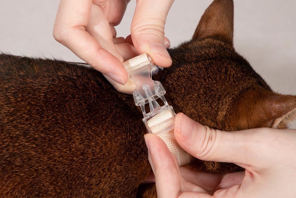 Katzengeschirr- und Leinen-Set – gestreift