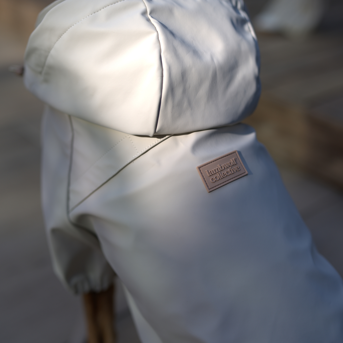 BRIGHTON foldable waterproof: XL