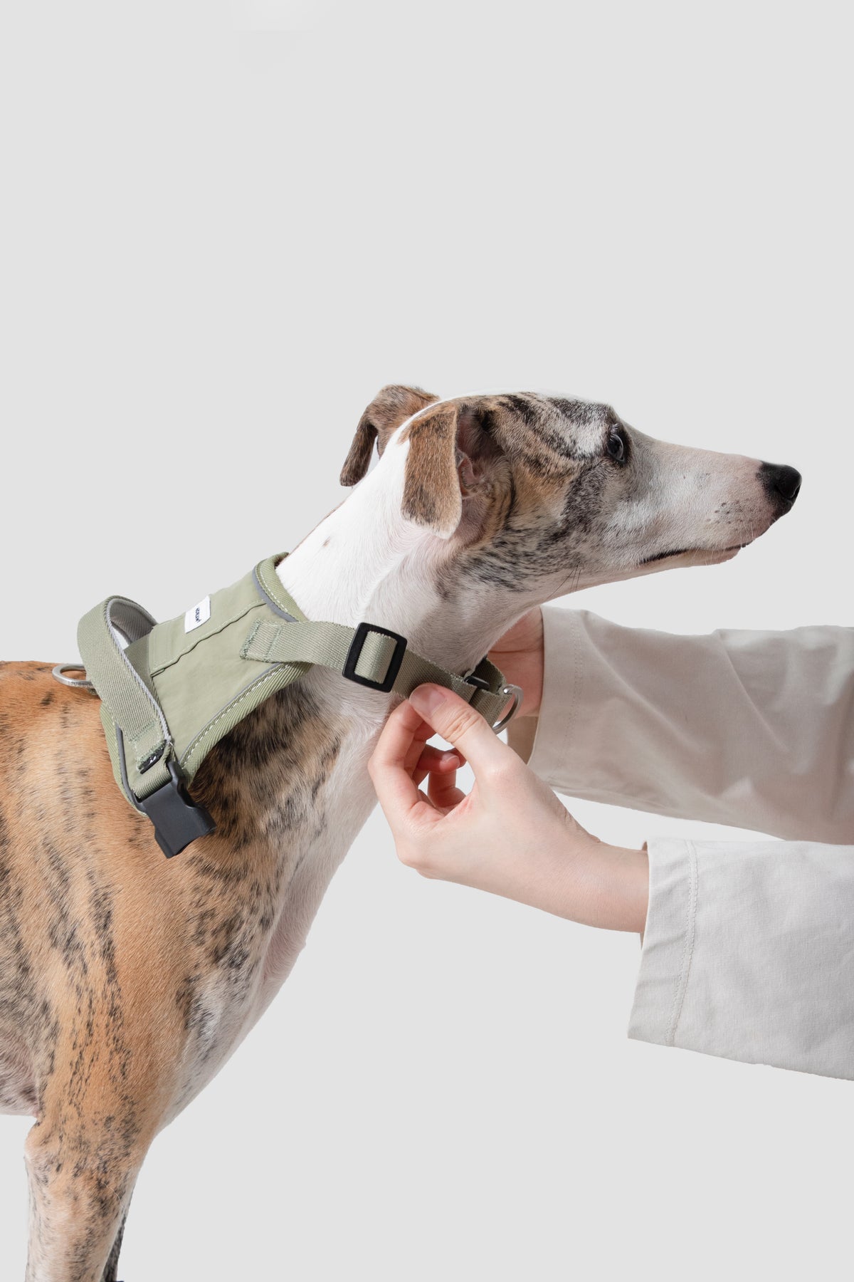 Quick-On Anti-Pull Harness