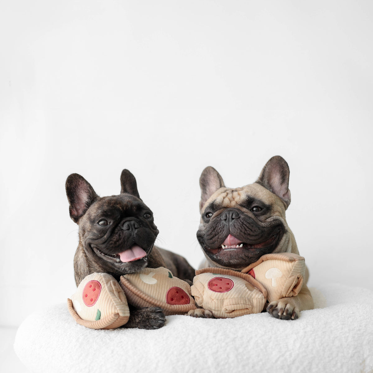Deep Dish Pizza Snuffle Dog Toy for Enrichment