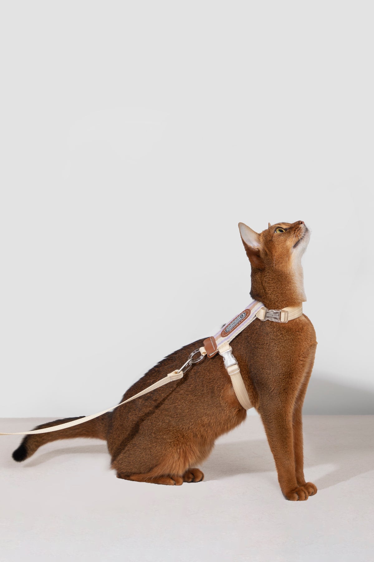 Striped Cat Harness and Leash Set