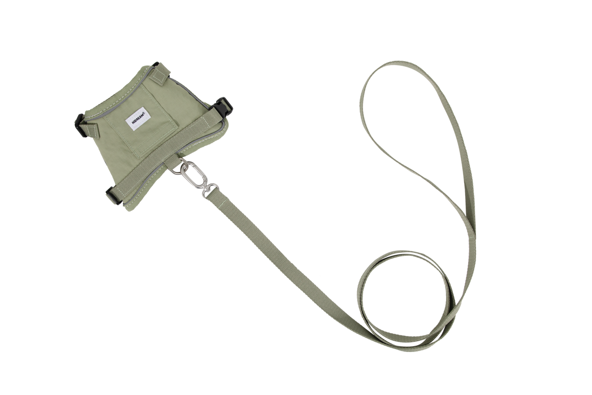 Cat Harness + Leash Set