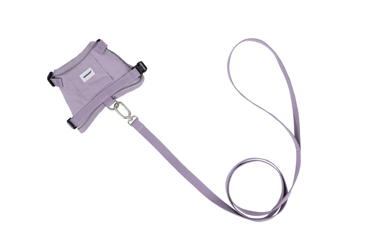 Cat Harness + Leash Set
