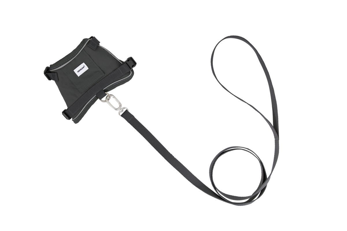 Cat Harness + Leash Set