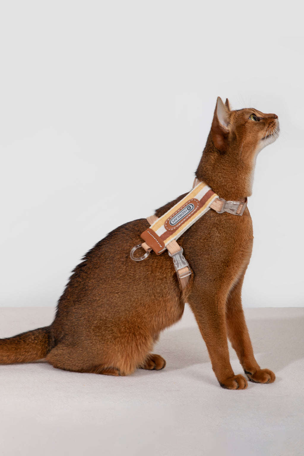 Katzengeschirr- und Leinen-Set – gestreift