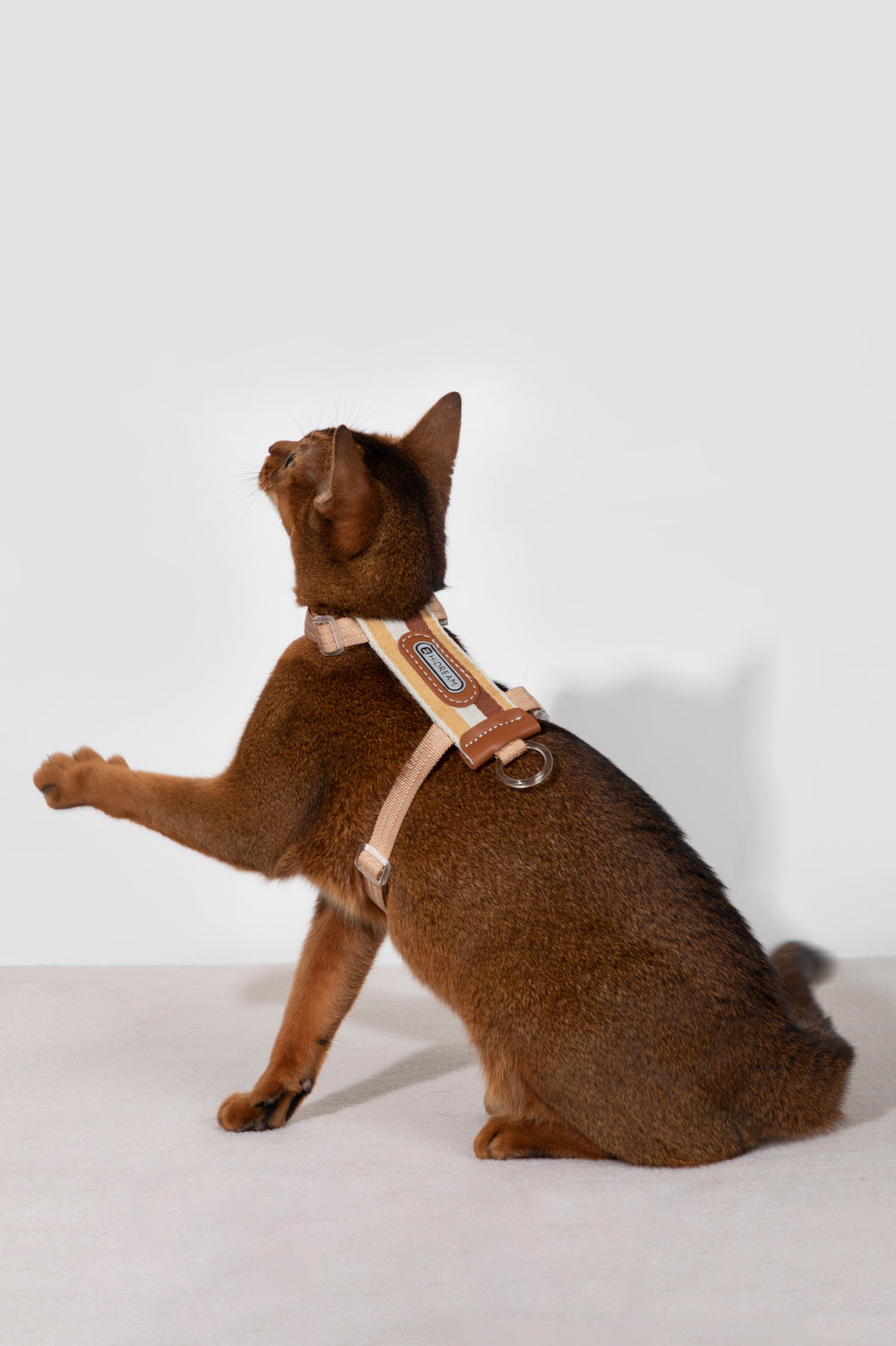Katzengeschirr- und Leinen-Set – gestreift