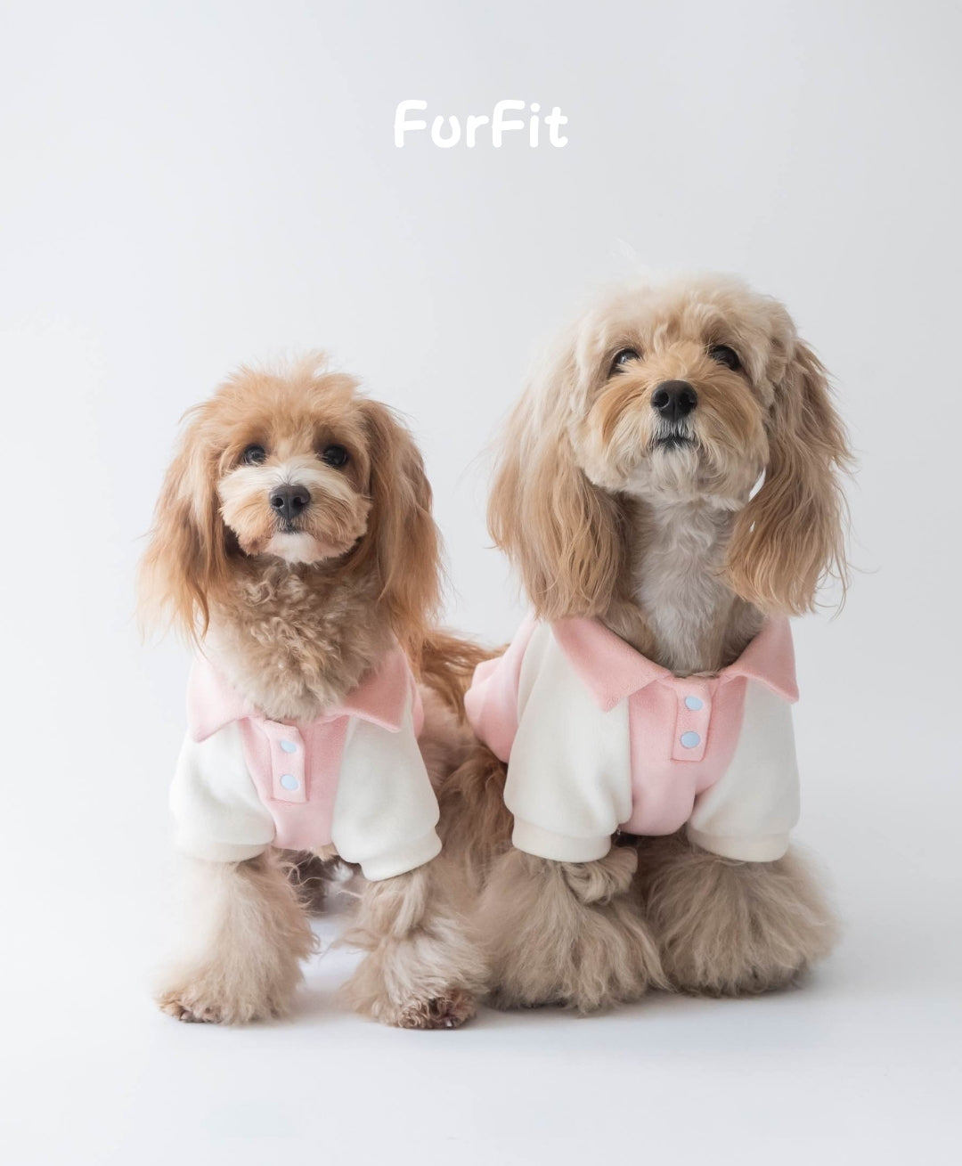 "Warm Fleece" Winter Dog Sweatshirt
