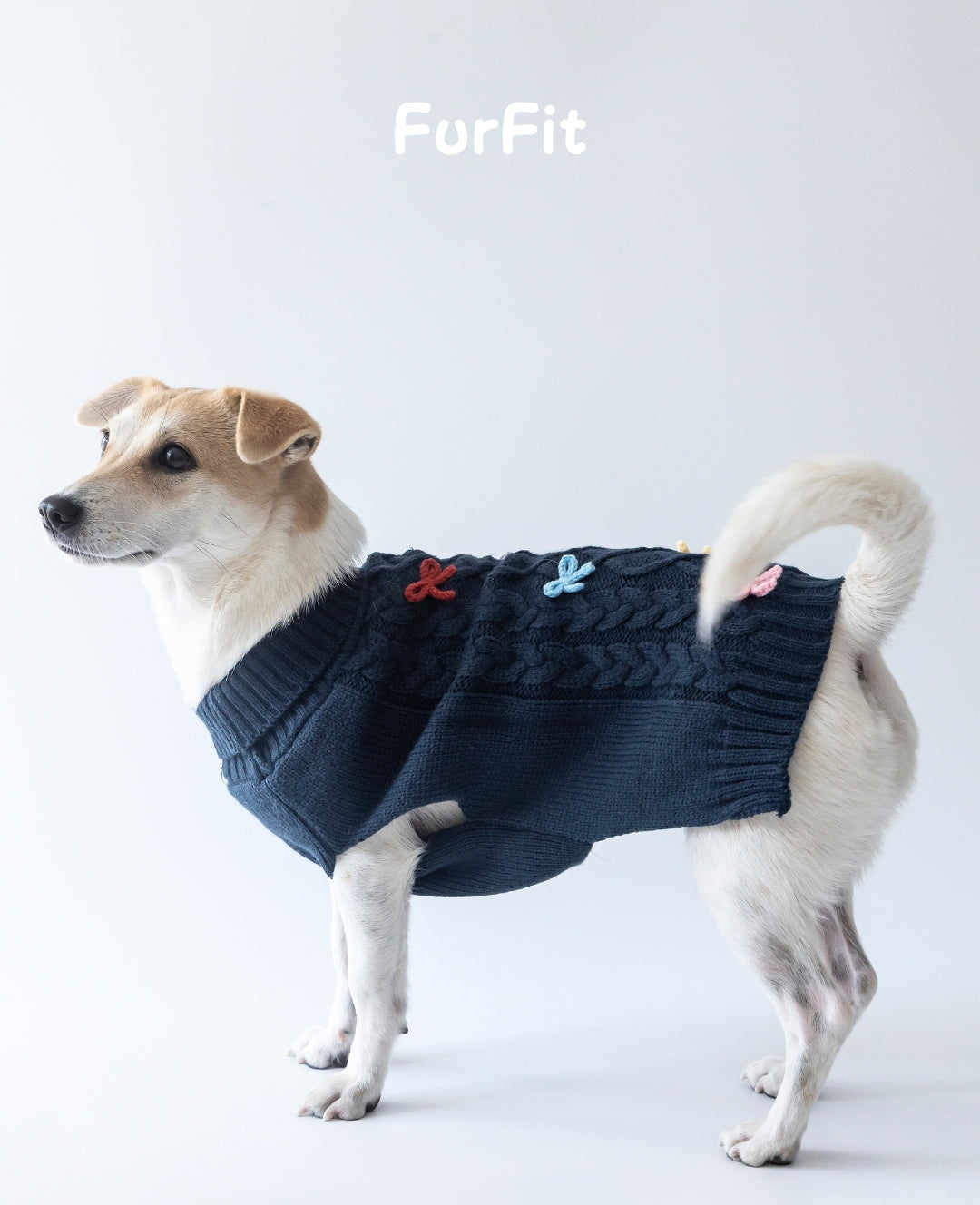 "Warm Bow" Dog Sweater
