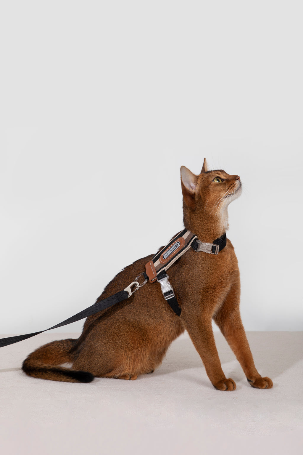 Katzengeschirr- und Leinen-Set – gestreift