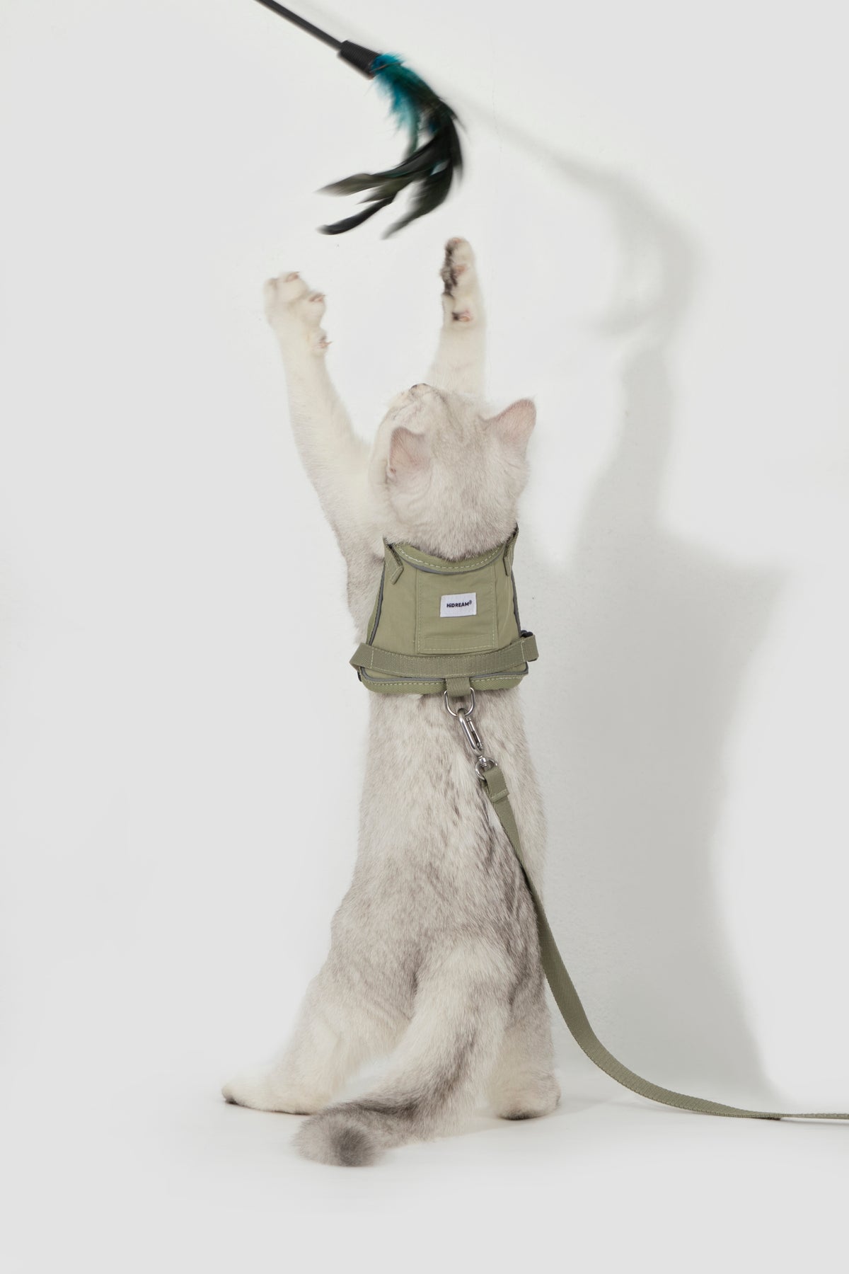 Cat Harness + Leash Set