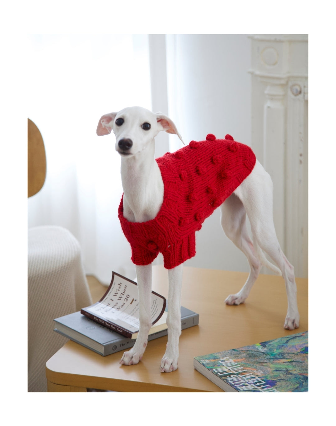 "Soft Wool Handmade" Dog Sweater