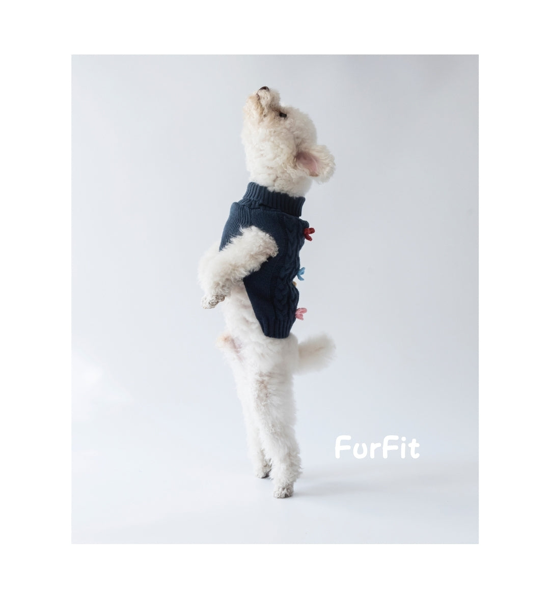 "Warm Bow" Dog Sweater