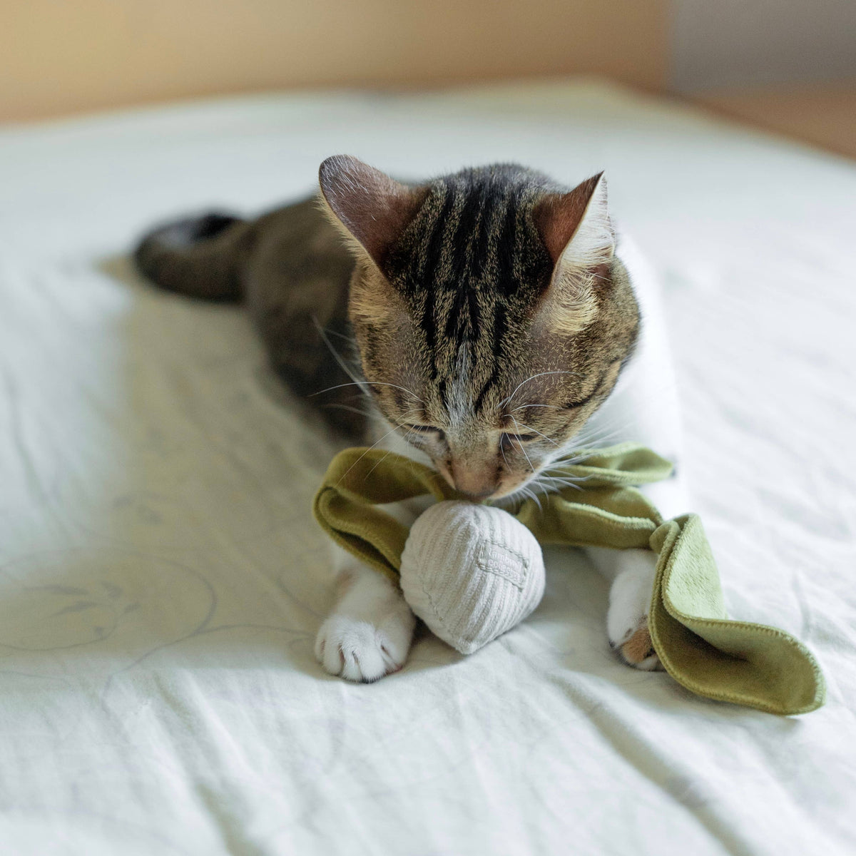 Catnip Toy KITTY RADISH Beetroot – Lambwolf Collective