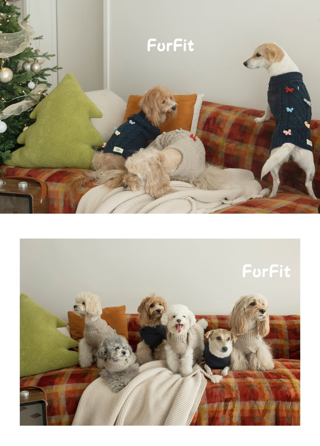 "Warm Bow" Dog Sweater