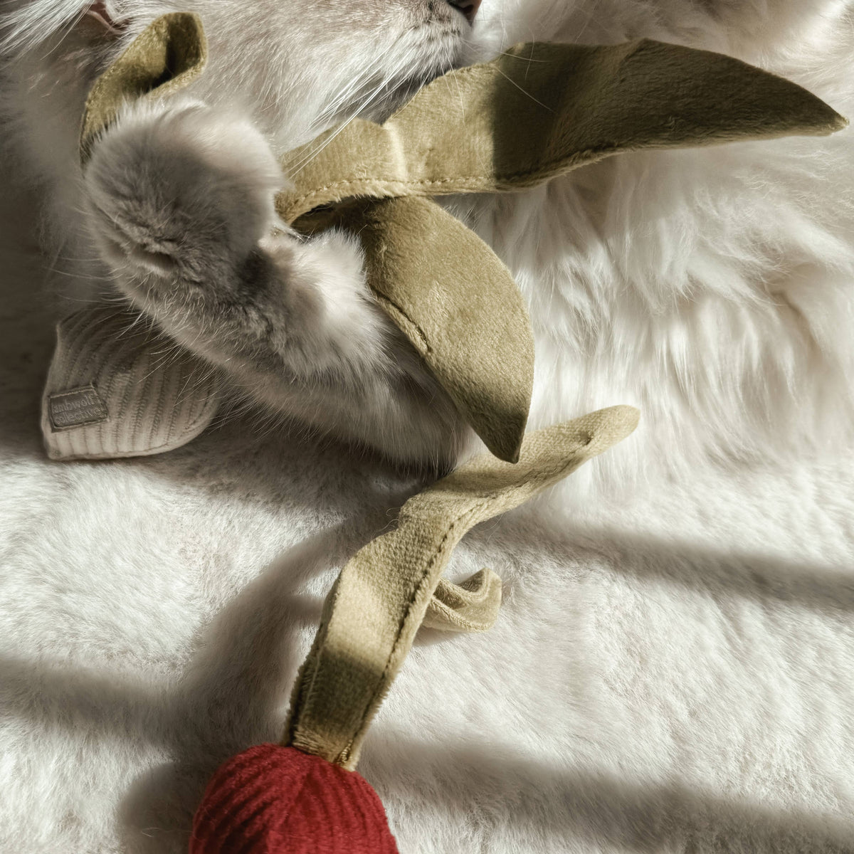 Catnip Toy KITTY RADISH Beetroot – Lambwolf Collective