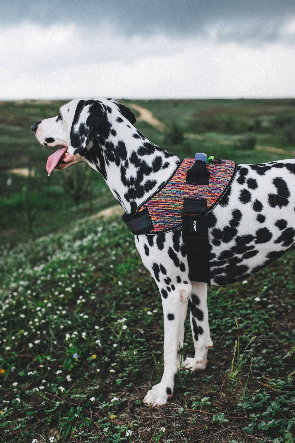Harness with Handle - Flyharness Vortex