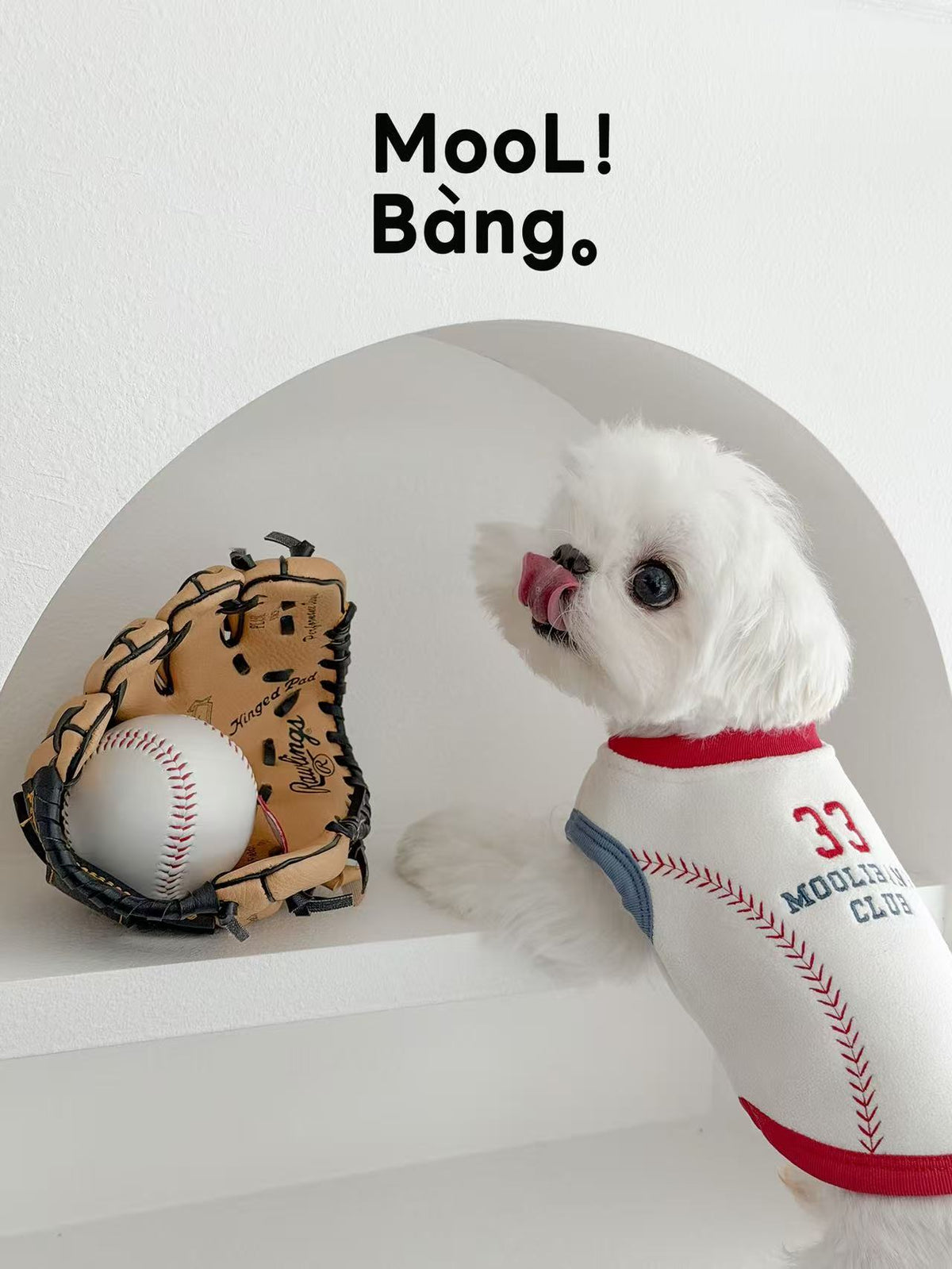 "Baseball Diary" Dog Jumper