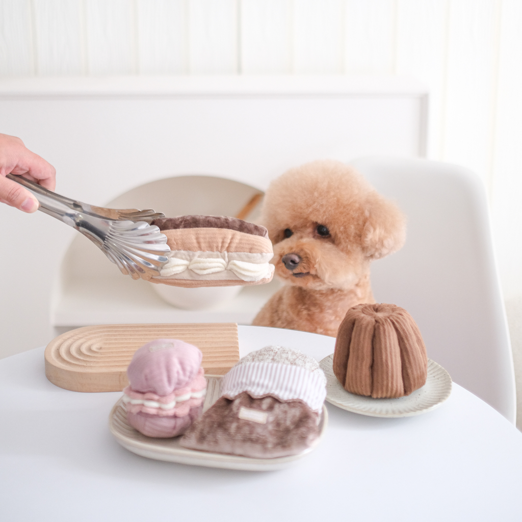 Gioco olfattivo per cani ÉCLAIR – Lambwolf Collective