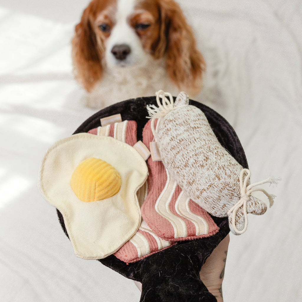 Bfast Set // ENRICHMENT DOG TOY