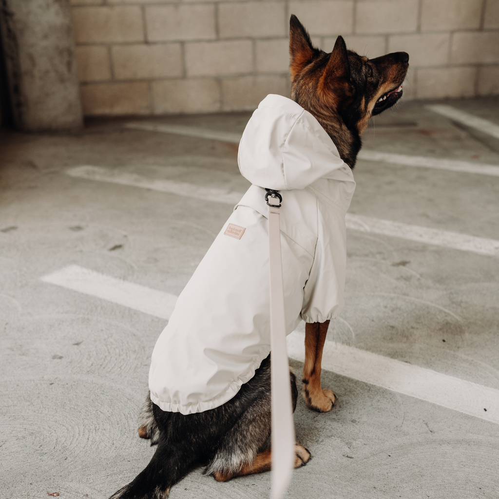 Impermeabile Pieghevole BRIGHTON, Taglia XL – Lambwolf Collective
