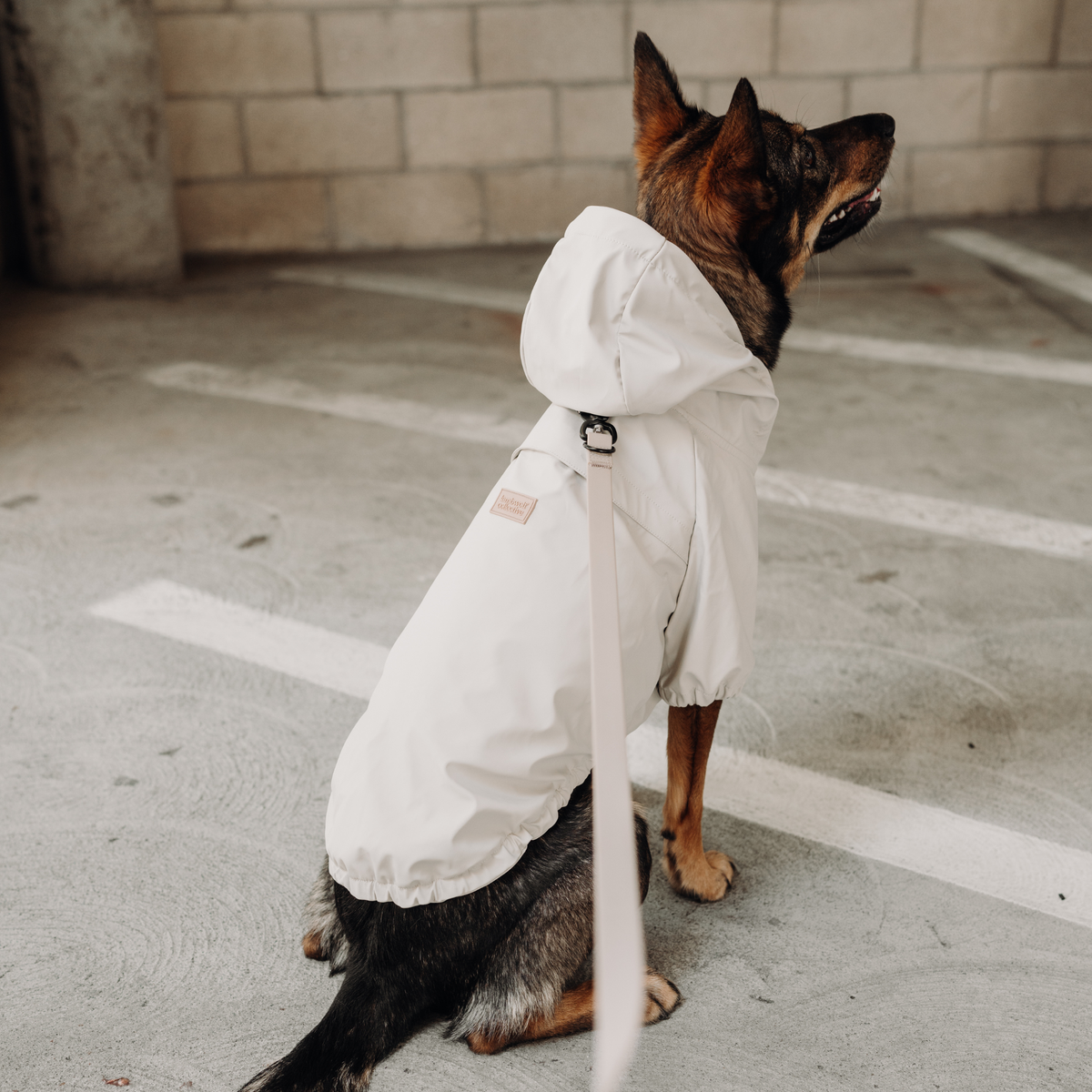 BRIGHTON foldable waterproof: XL