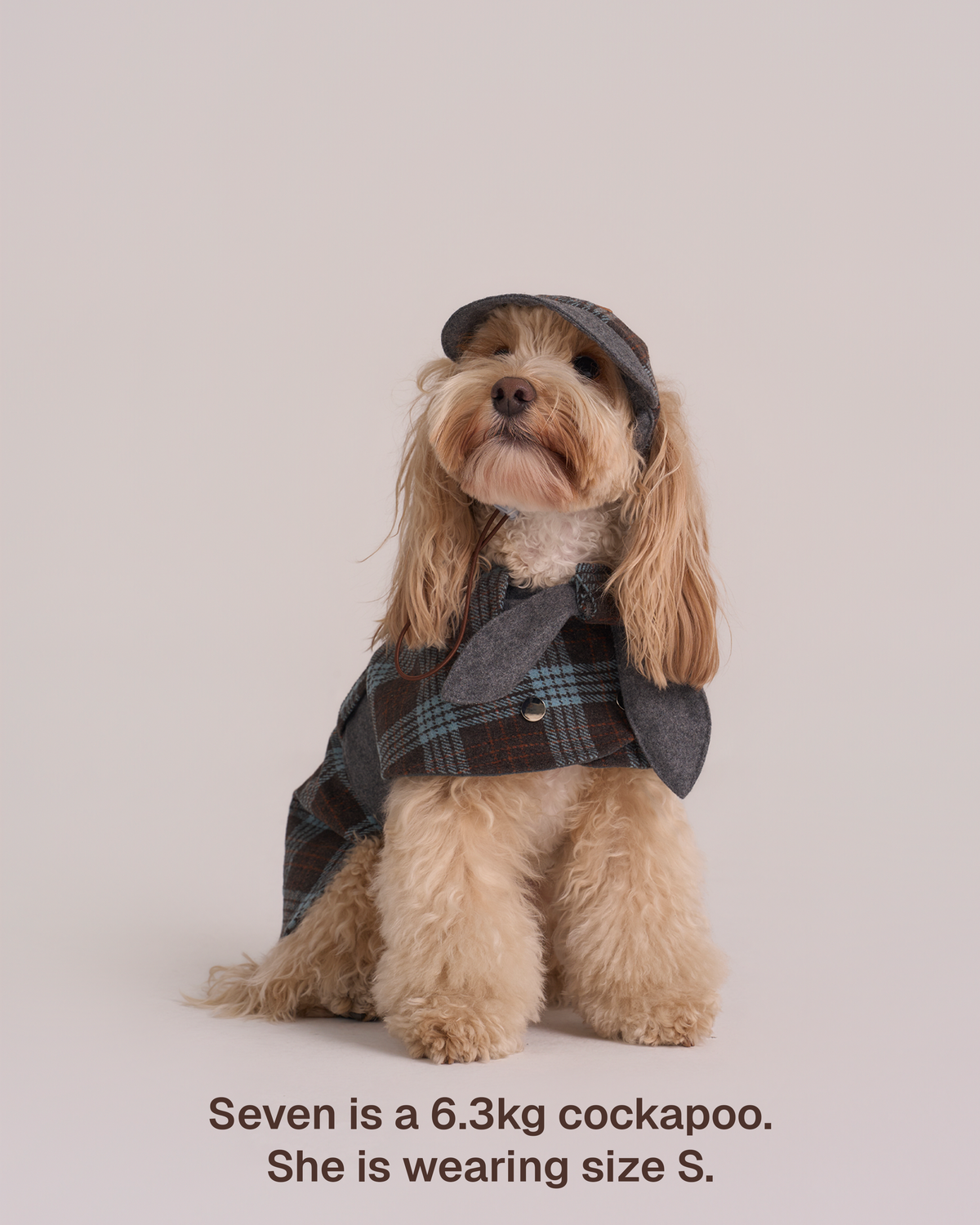 Hundemantel Sherlock