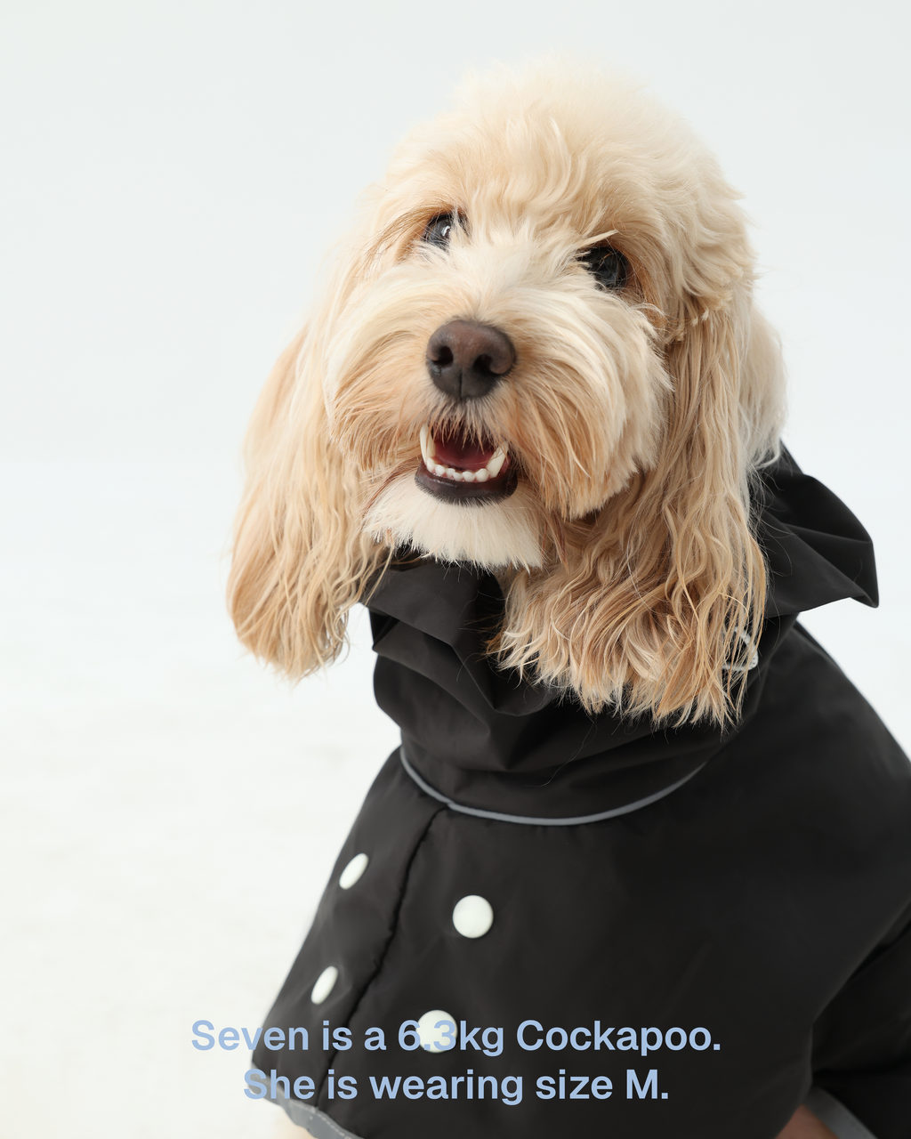 Heath Dog Raincoat – Zumizumi