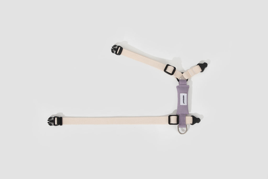 Cat Harness + Leash Set