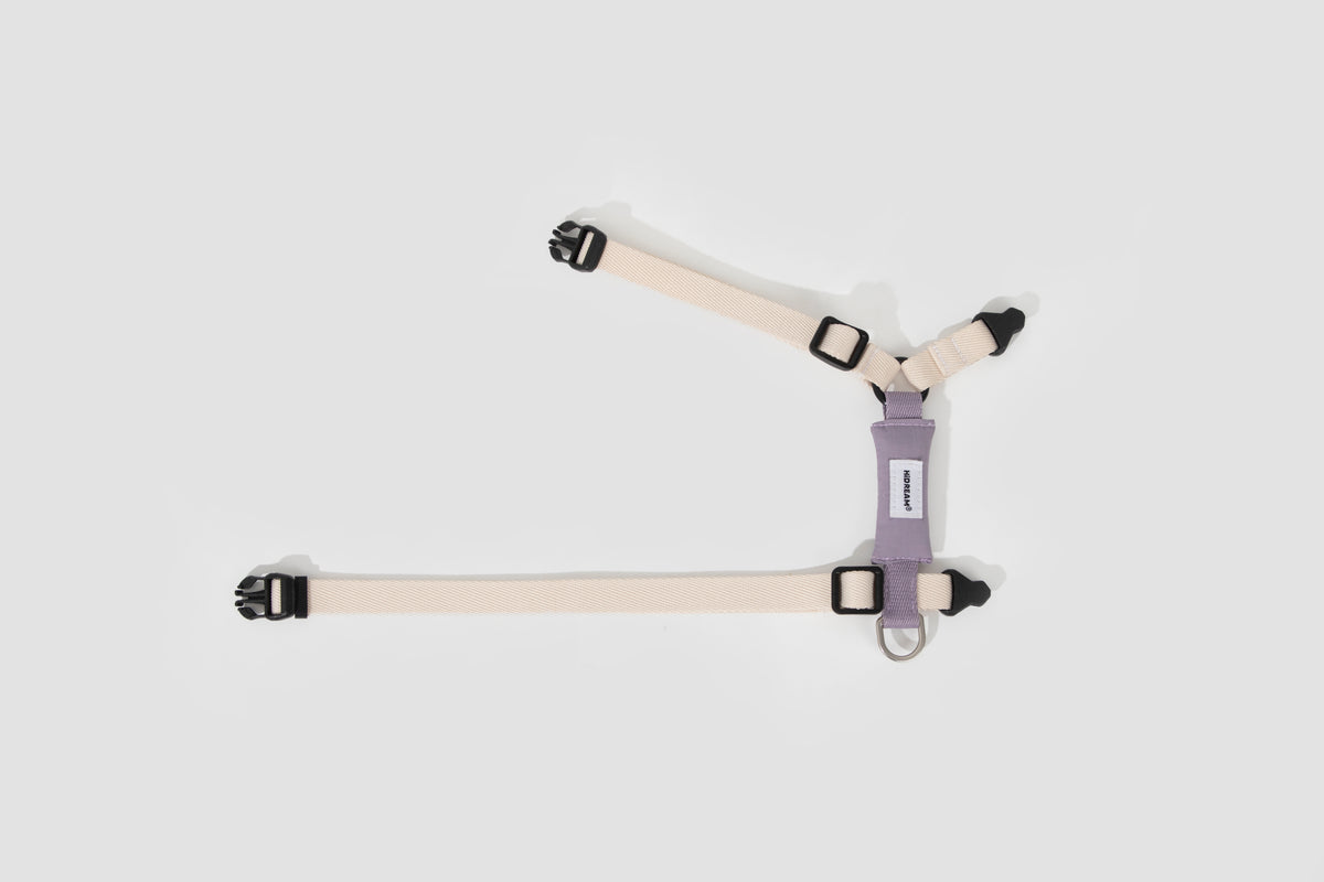 Cat Harness + Leash Set
