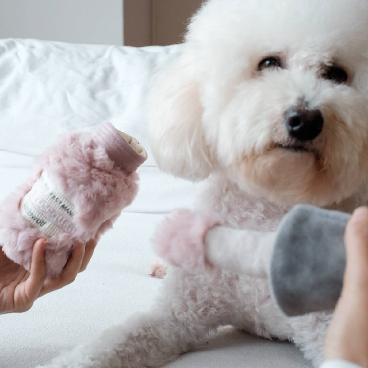 Gioco olfattivo per cani NAIL POLISH – Lambwolf Collective