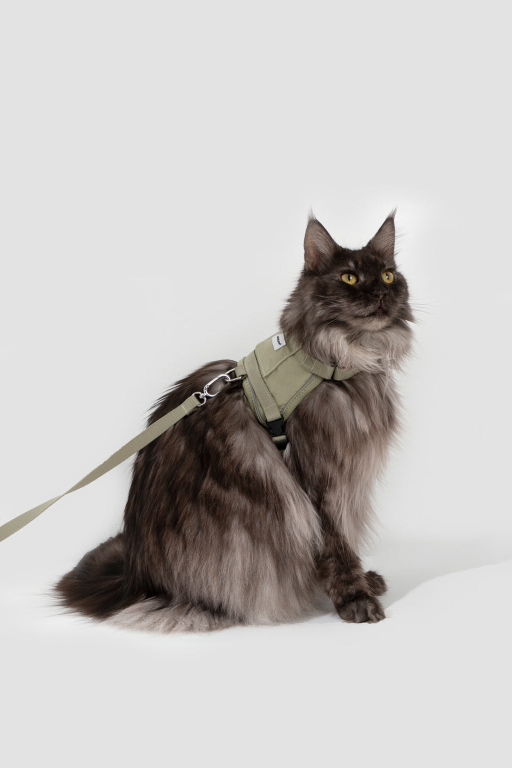 Cat Harness + Leash Set