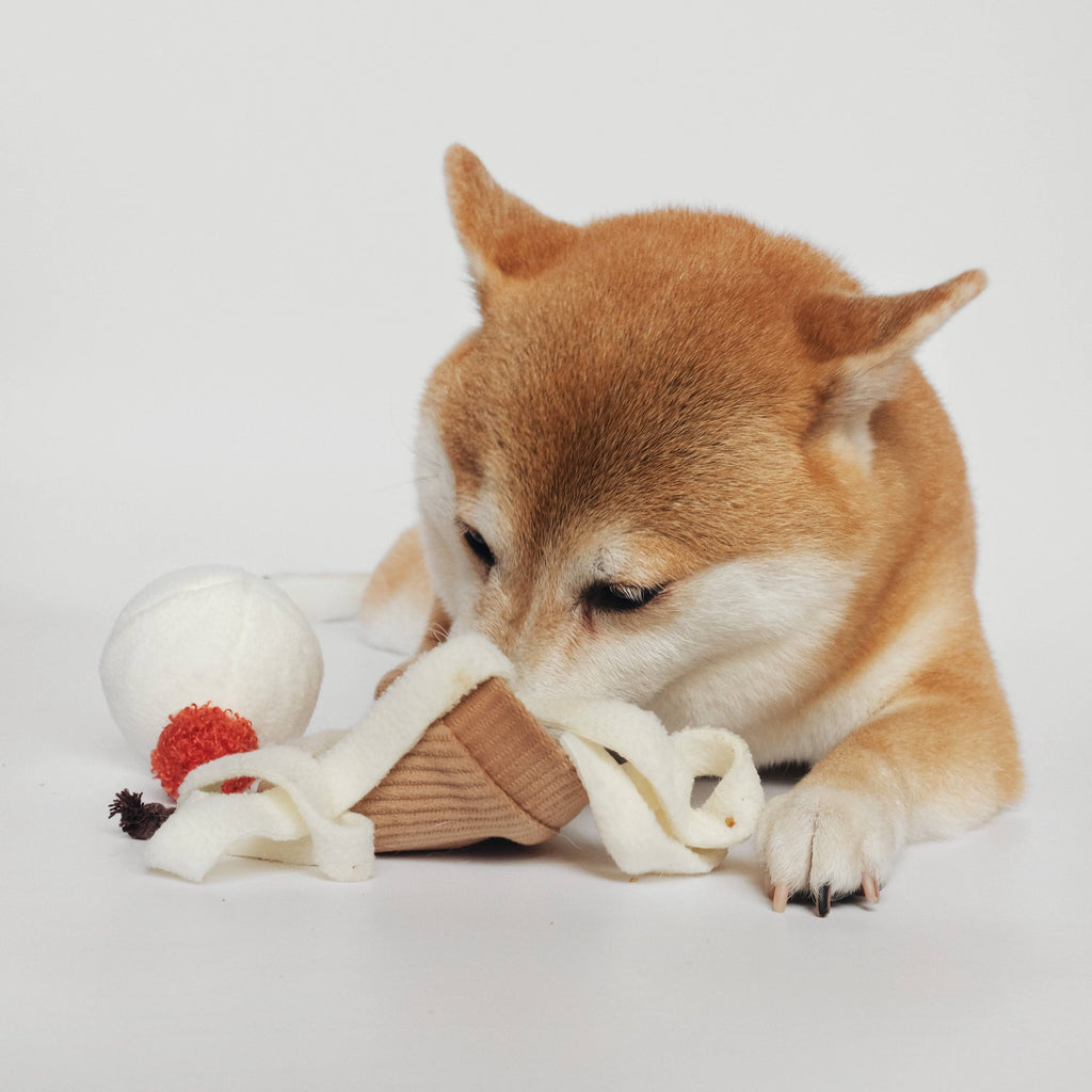 ICE CREAM POP Bereicherungsspielzeug mit Ball