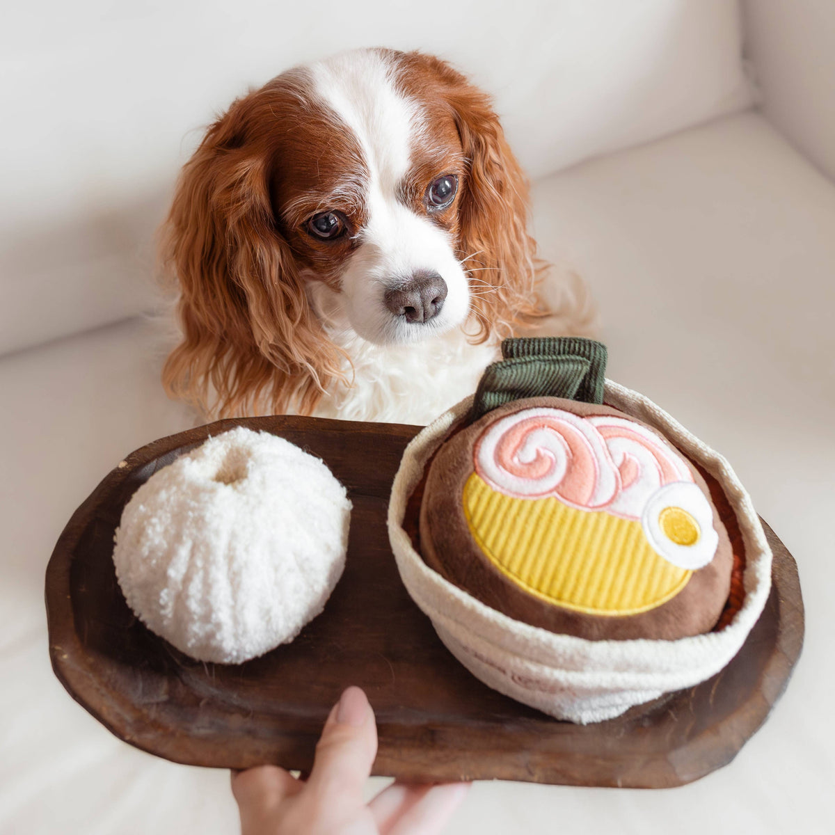 RAMEN Interactive Dog Toy