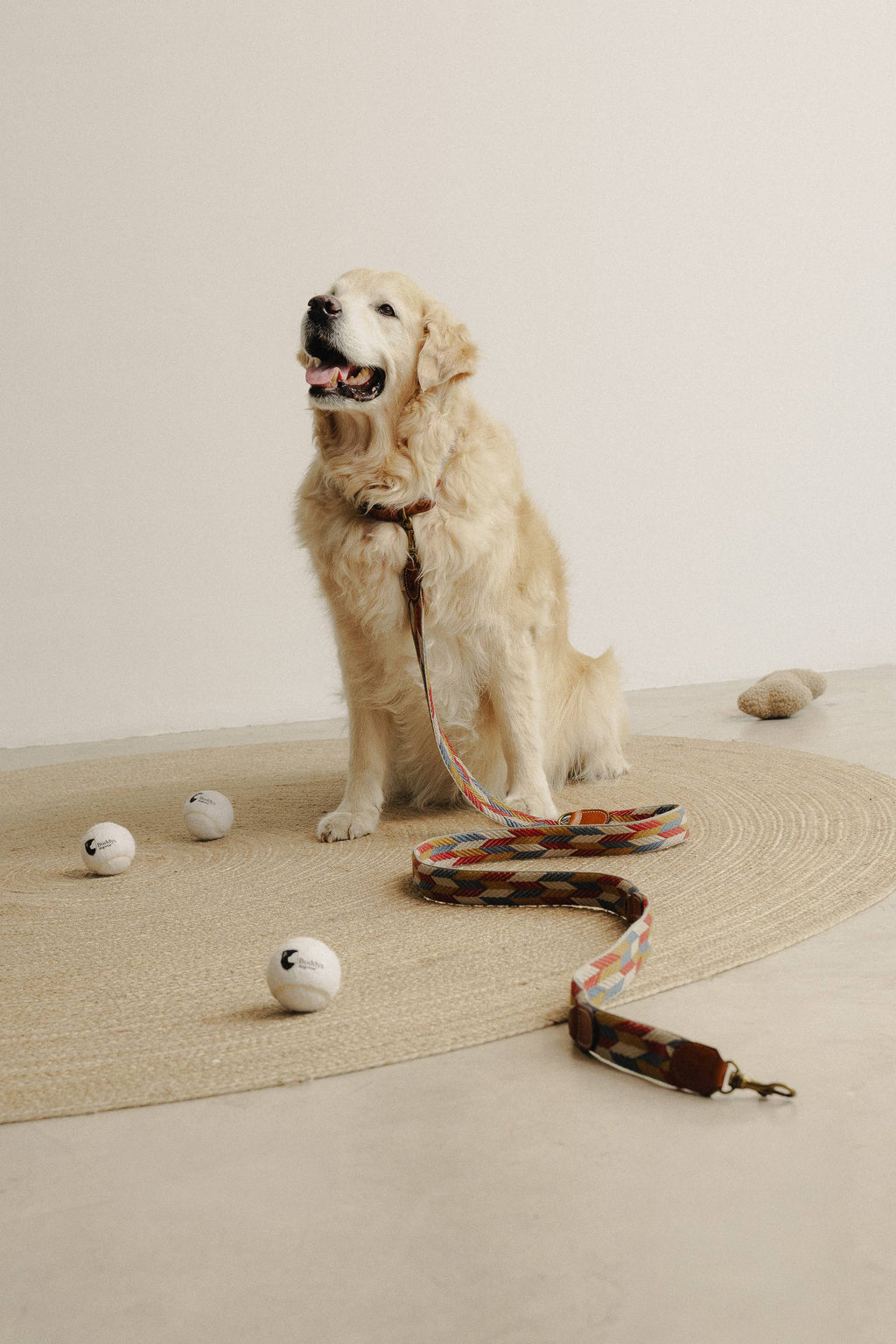 Guinzaglio Regolabile Naya Puzzle – Buddys Dogwear