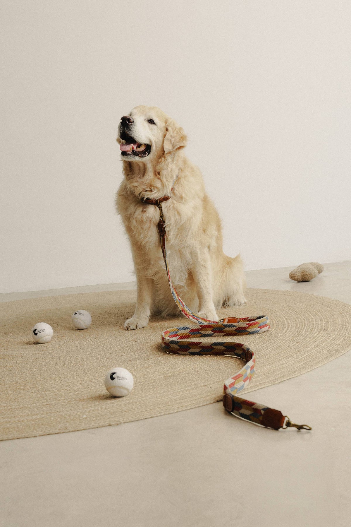 Guinzaglio Regolabile Naya Puzzle – Buddys Dogwear