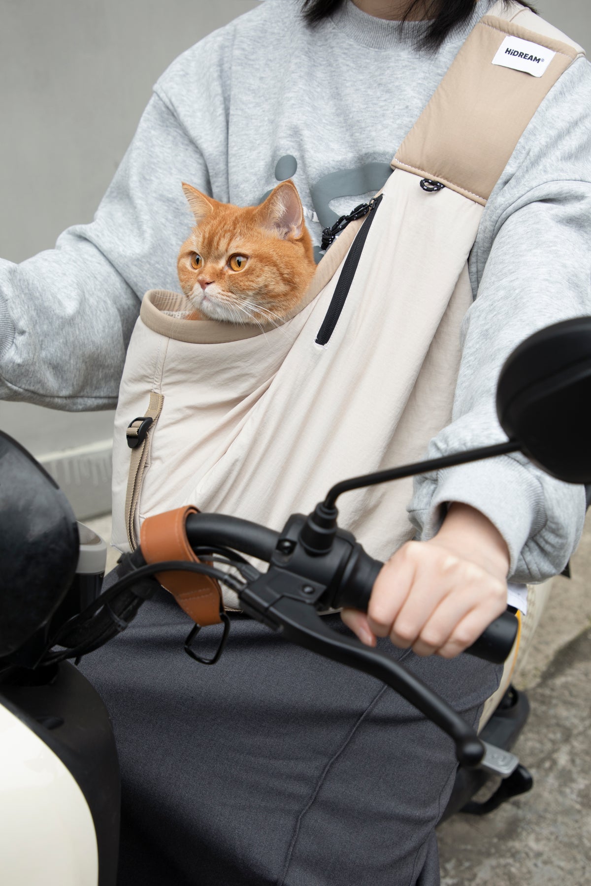 Shoulder Pet Carrier Bag