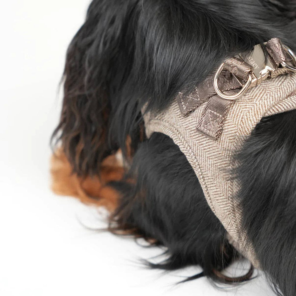 Pettorina Step-In Saga Mocca – Staey