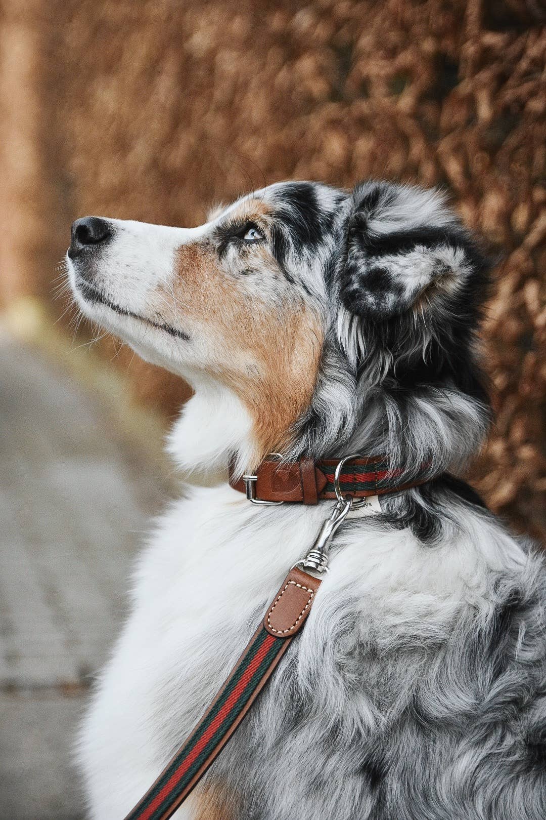Guinzaglio Baseball Green – Buddys Dogwear