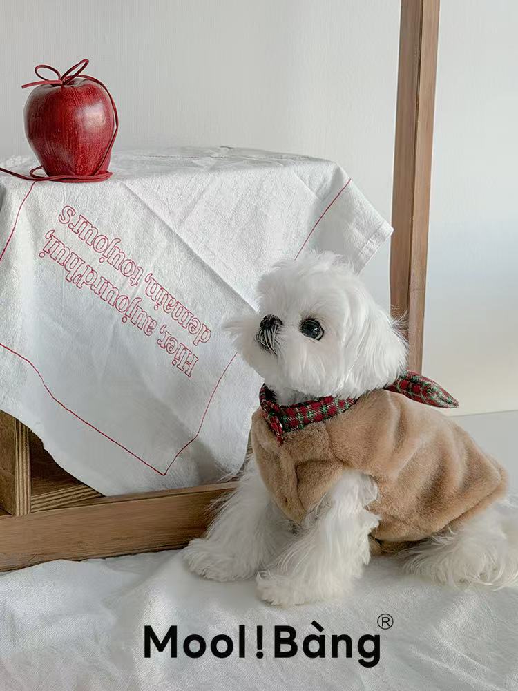 "Double Gifts" Dog Jumper