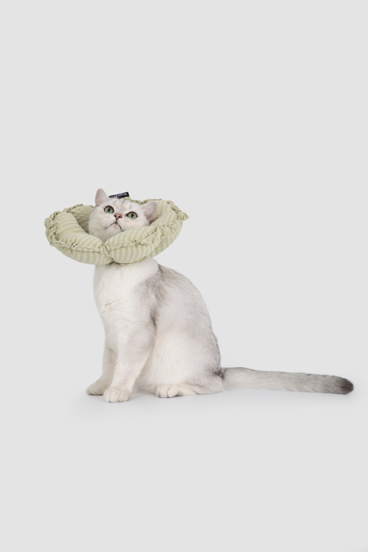 Soft Flower-Shaped Recovery Collar