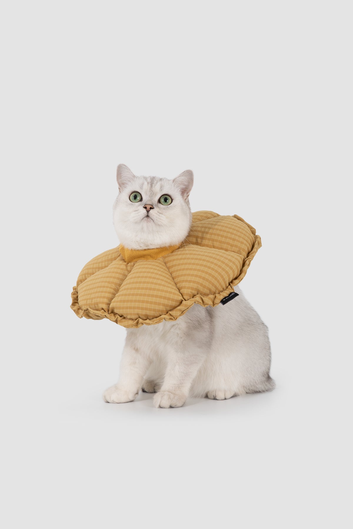 Soft Flower-Shaped Recovery Collar