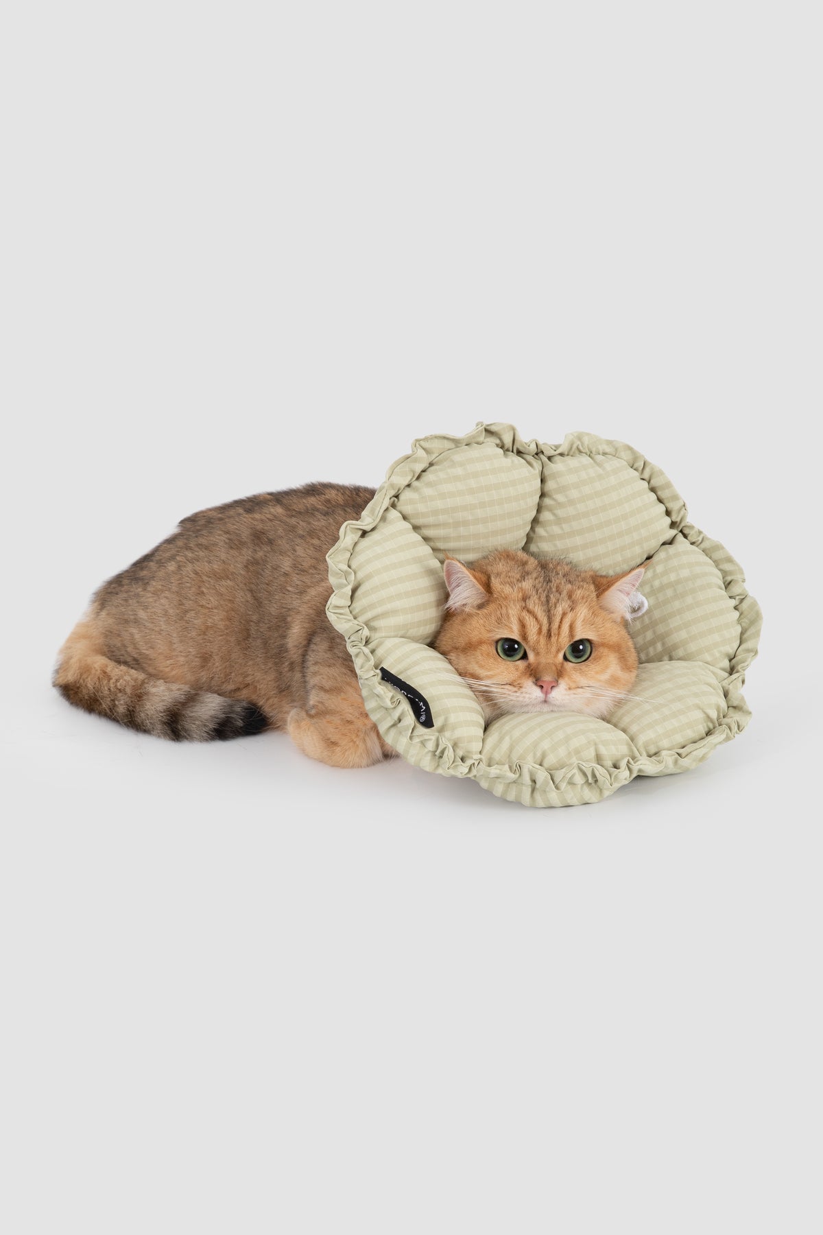 Soft Flower-Shaped Recovery Collar