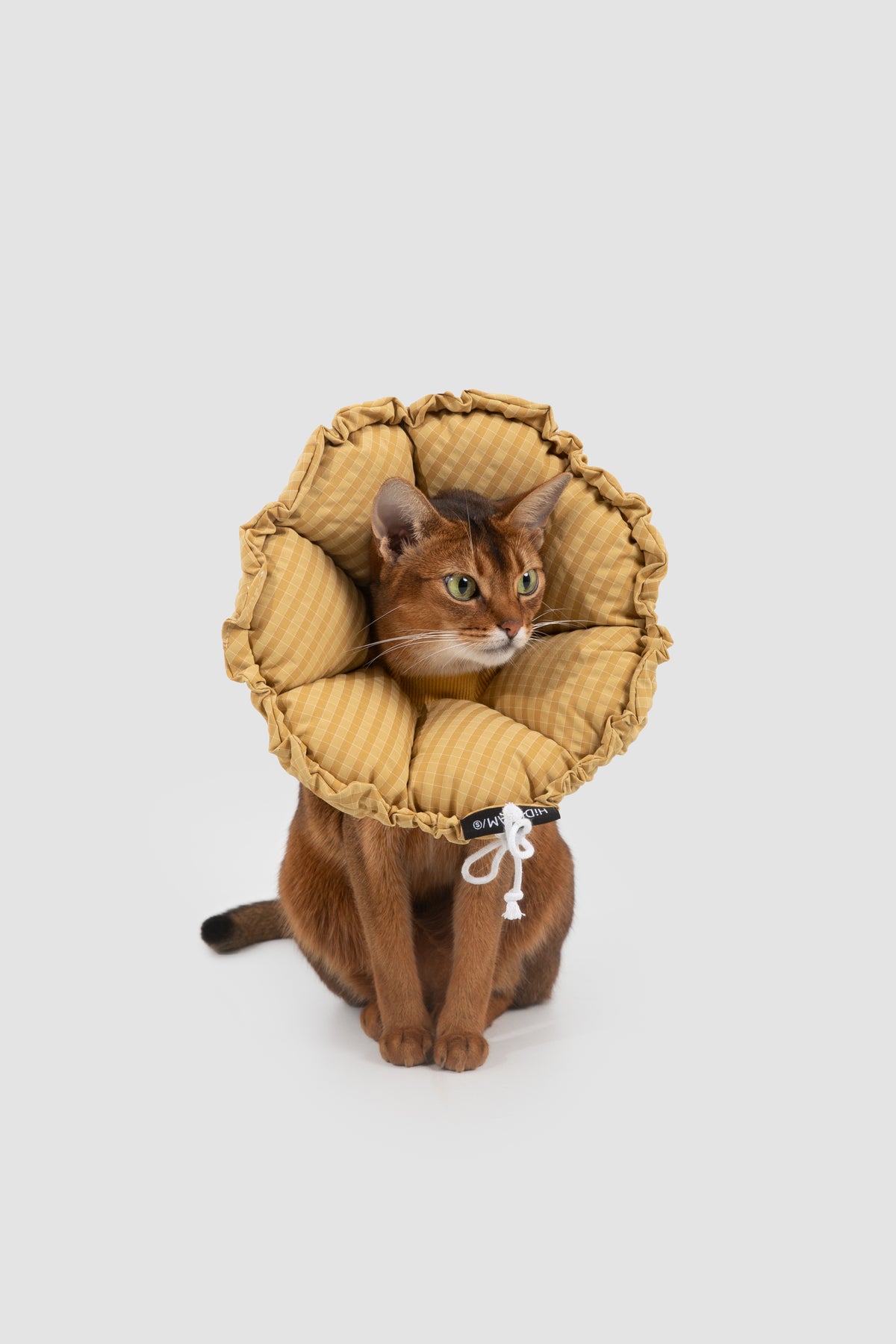 Soft Flower-Shaped Recovery Collar