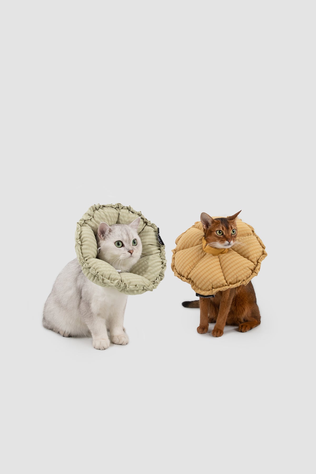 Soft Flower-Shaped Recovery Collar