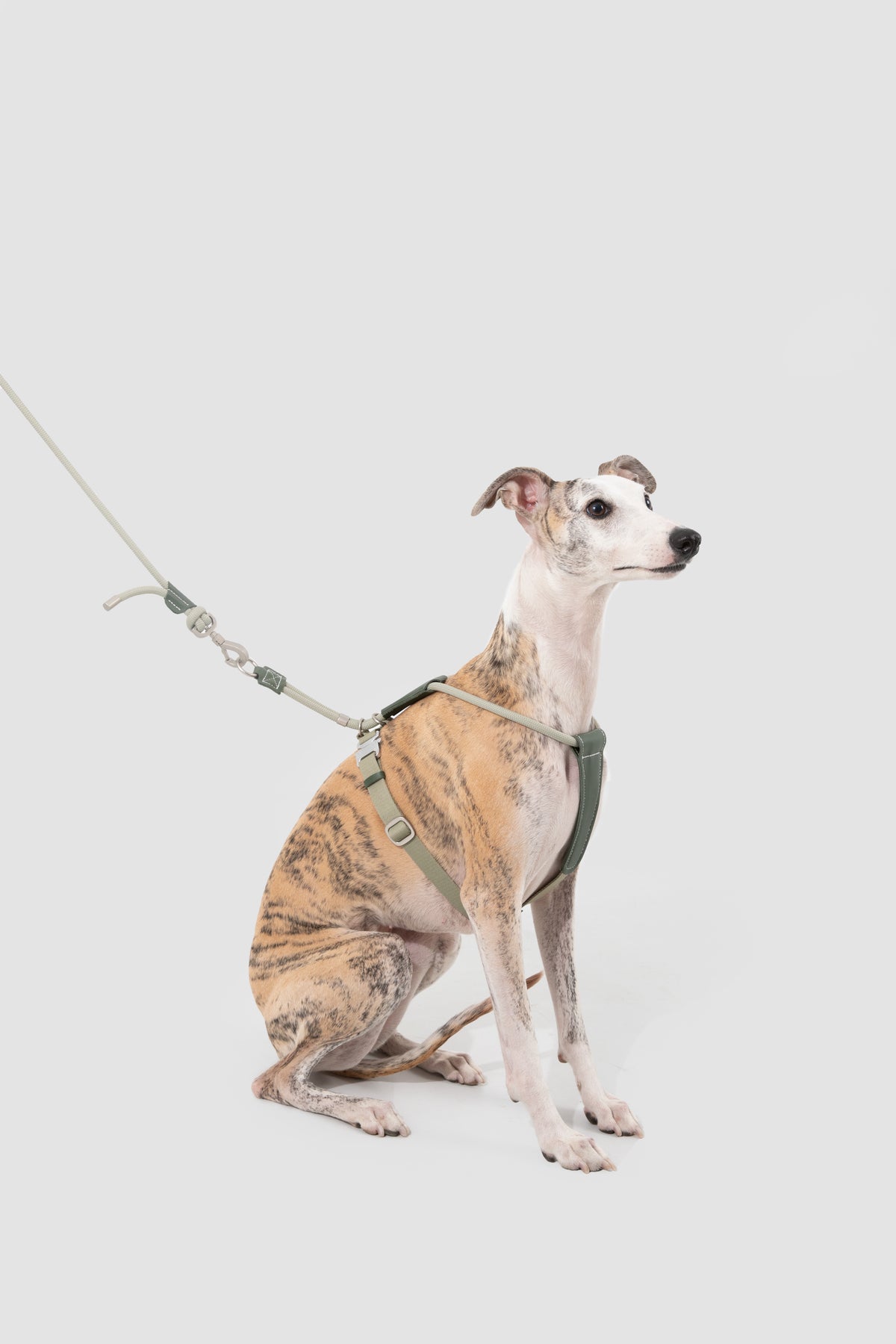 Rope Harness with Leather Details – Green