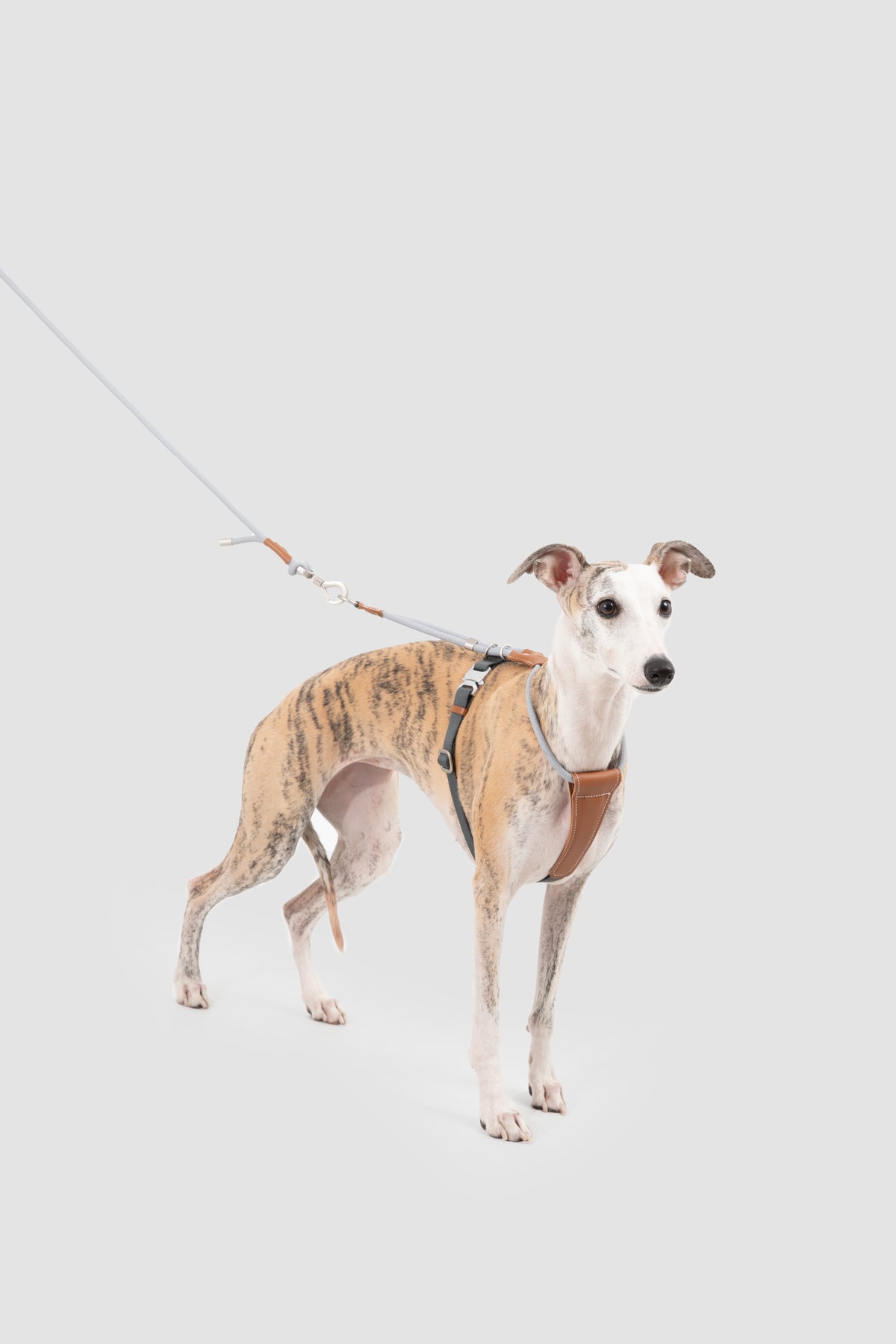 Rope Harness with Leather Details – Grey