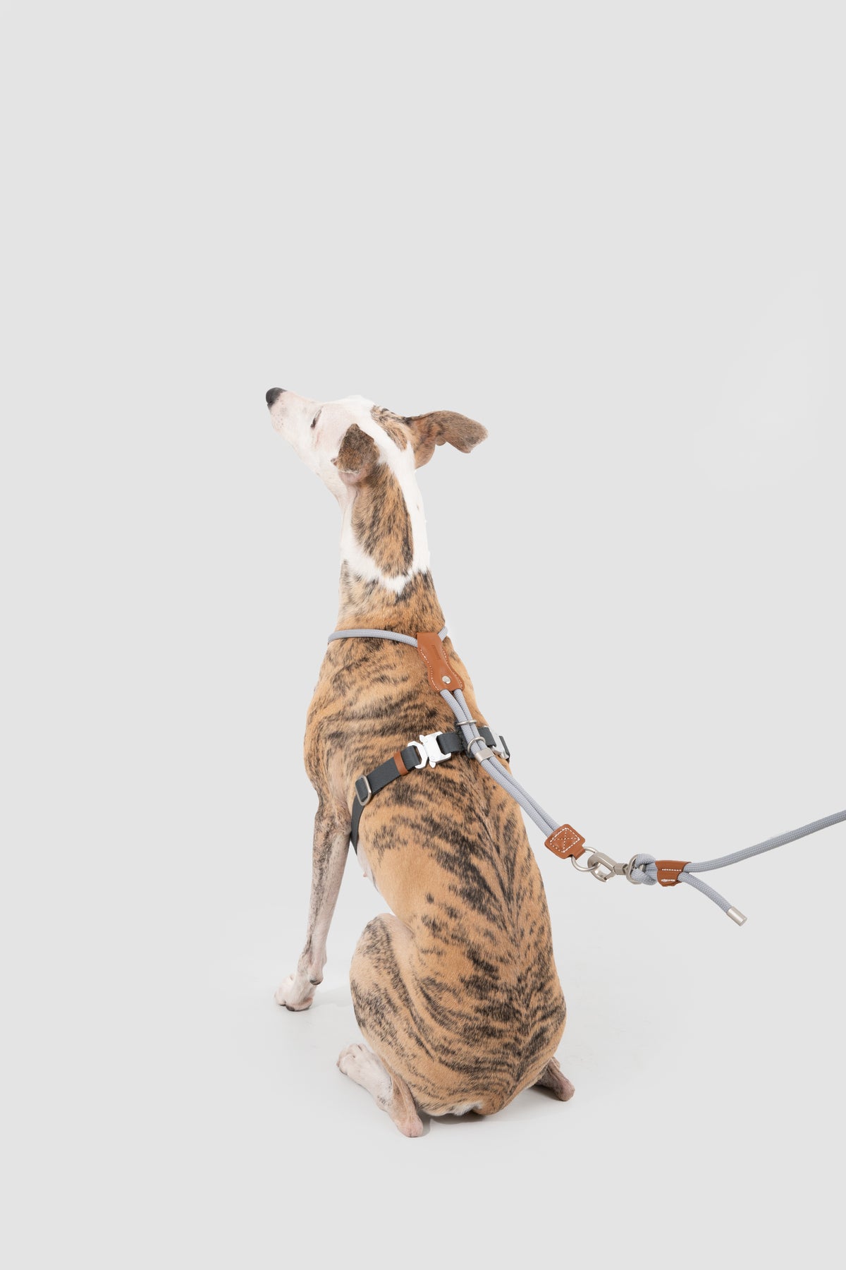 Rope Harness with Leather Details – Grey