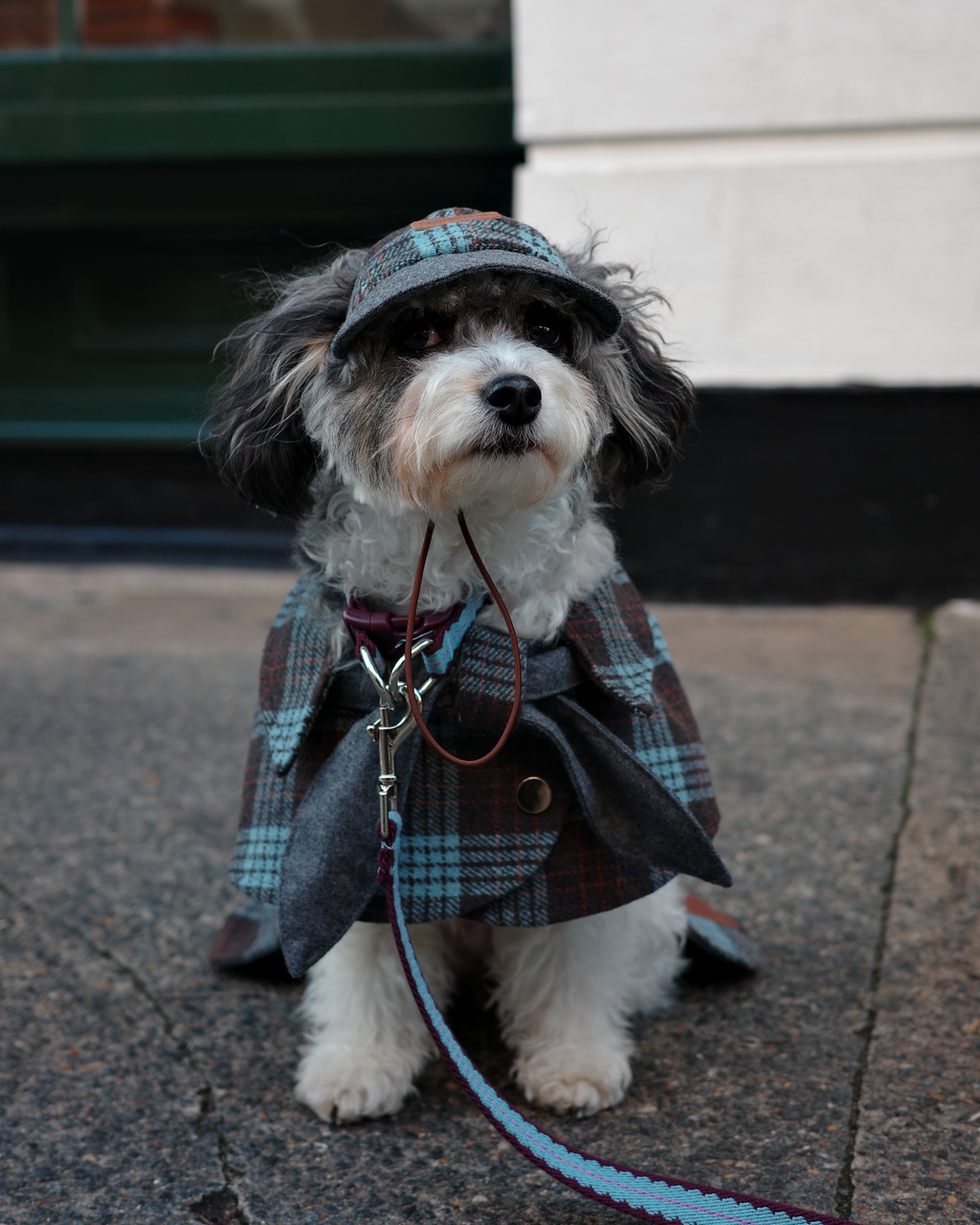 Hundemantel Sherlock